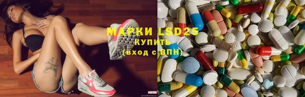 spice Богородск