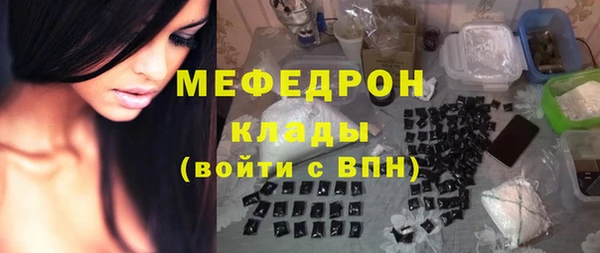 spice Богородск