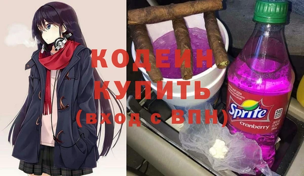 spice Богородск