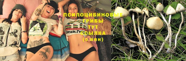 прущая мука Богородицк