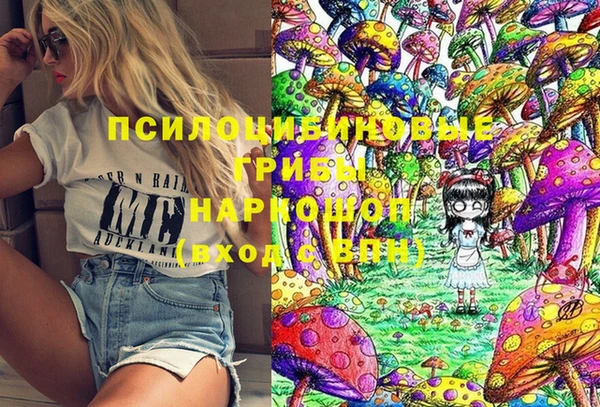 spice Богородск