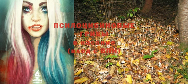 тгк Покачи