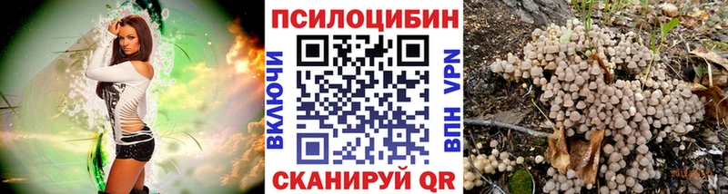 Галлюциногенные грибы прущие грибы  Мглин 